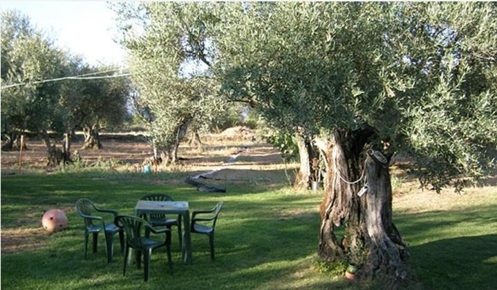 Hotel Rural Hojaranzos Tejeda Del Tietar Restoran gambar